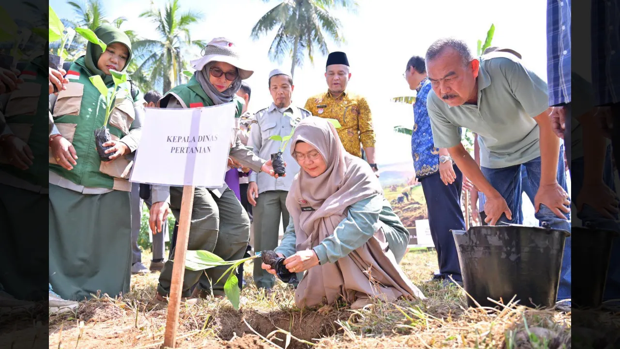 Kadis Pertanian Nila Misna lakukan penanaman Pisang